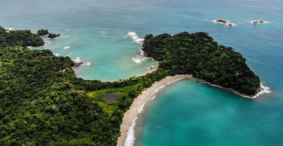 Costa Rica Wildlife Experience