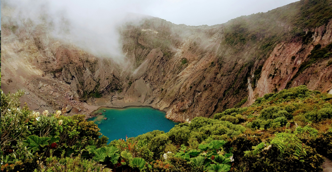 Costa Rica Wildlife Experience