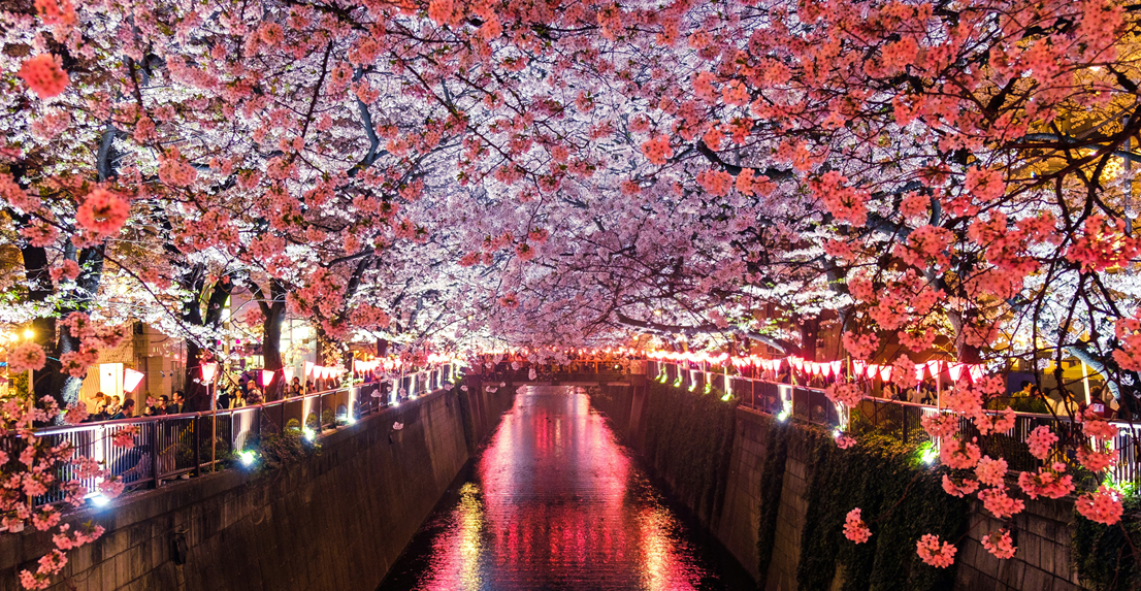 Discover Japan