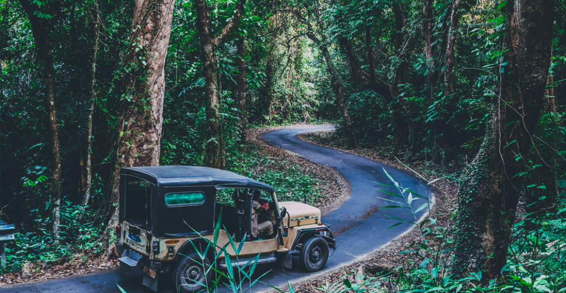 Exotic Andaman Tour
