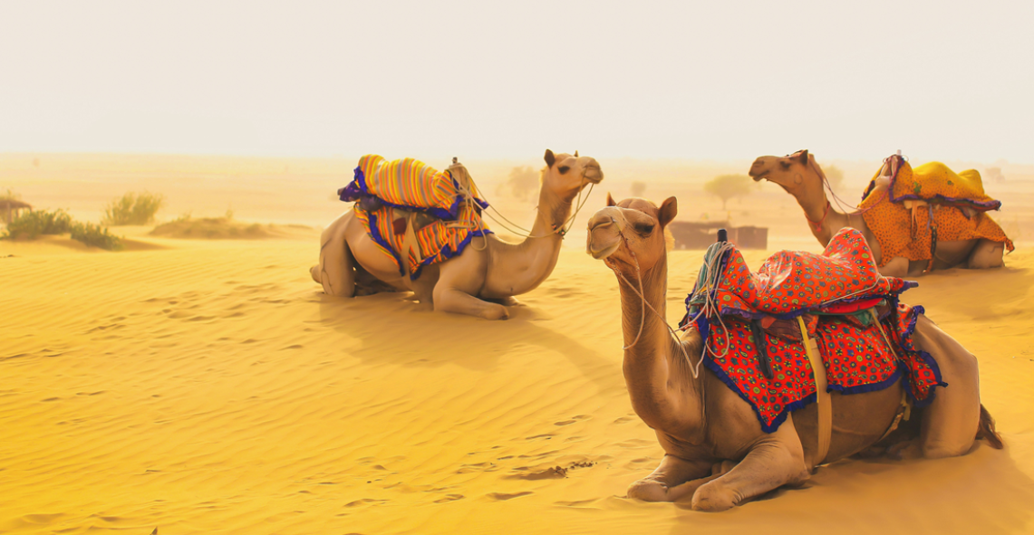 Golden Desert Escape