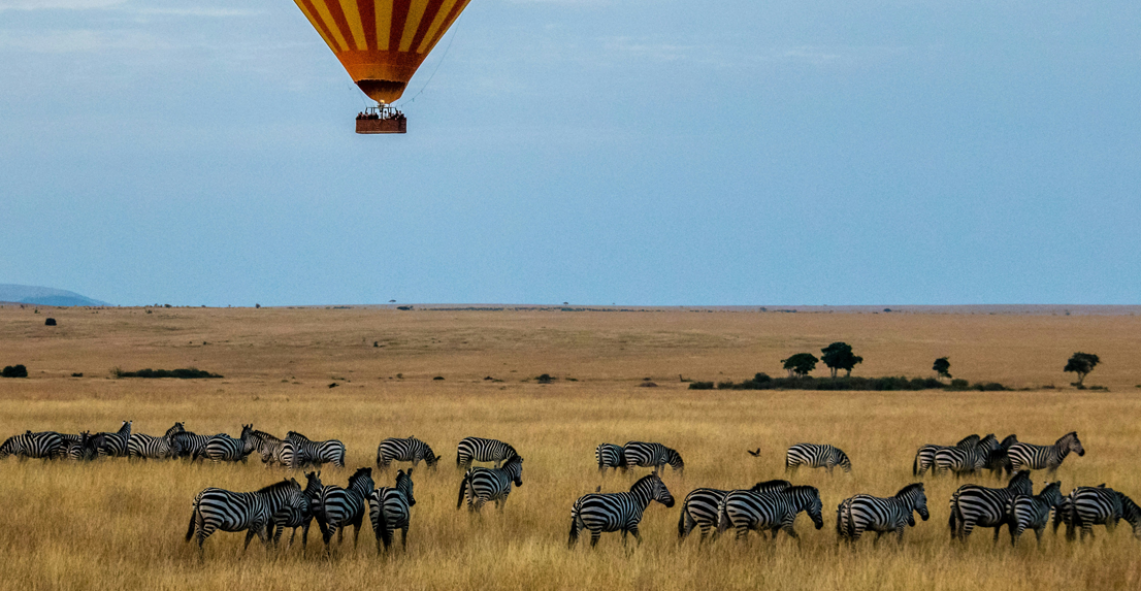 Kenya Safari Discovery