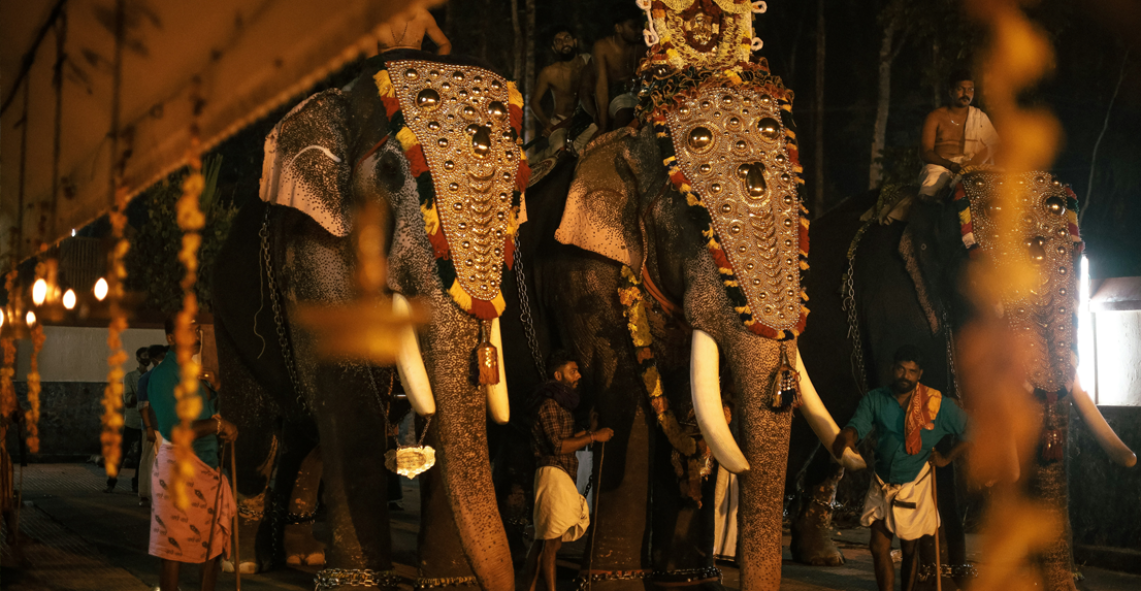 Kerala Nature & Backwaters