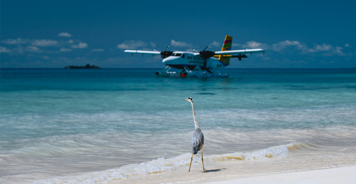 Luxury Maldives
