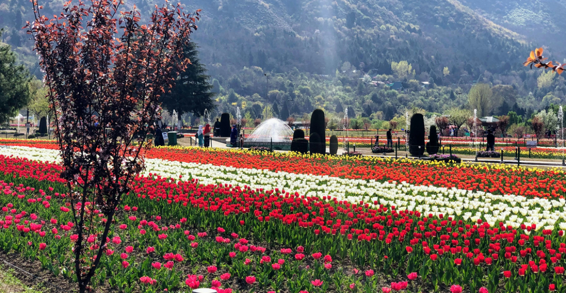 Magical Kashmir Getaway