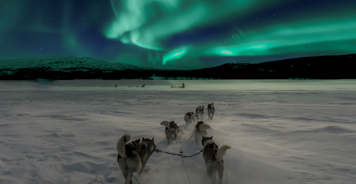 Norway Scenic Discovery
