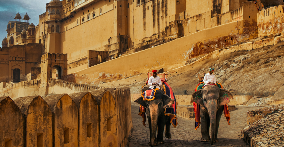 Pink City Royal Experience