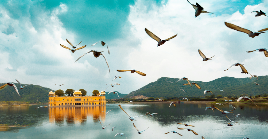 Pink City Royal Experience