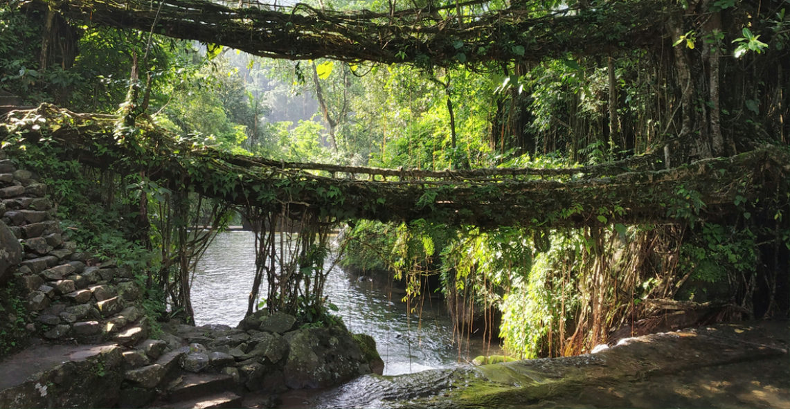 Shillong Cherrapunji Tour