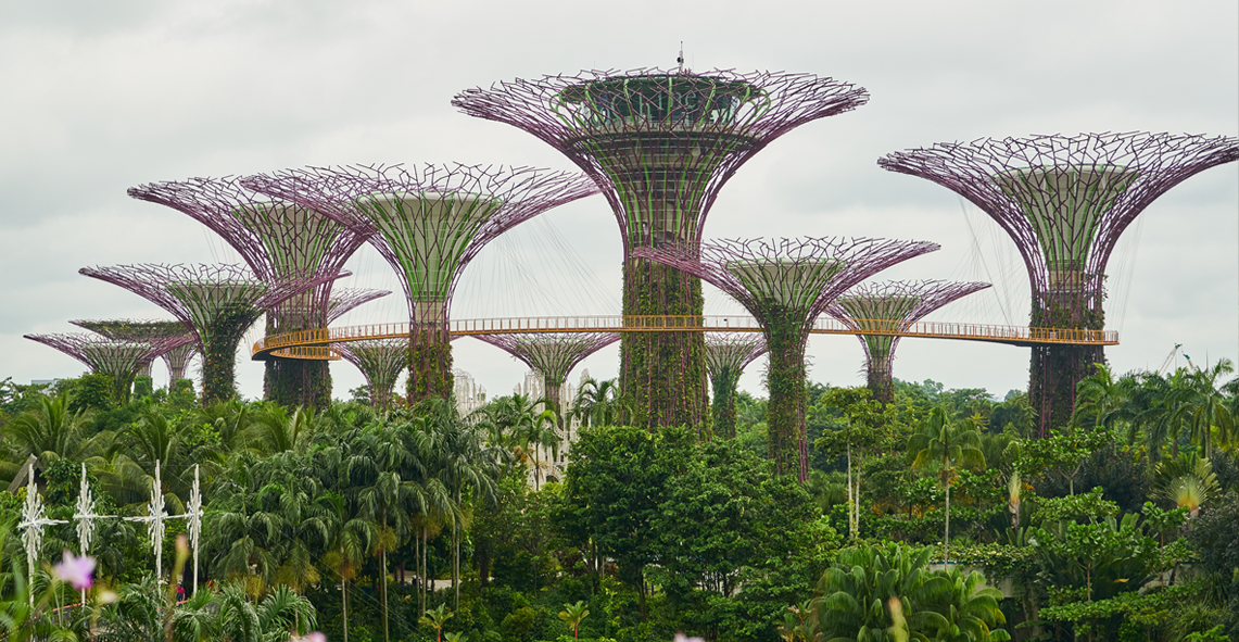 Singapore Luxury City Break