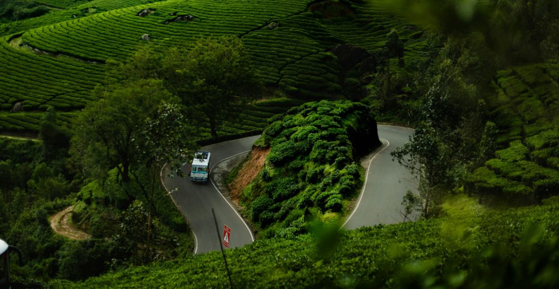 South India Hill Stations Tour