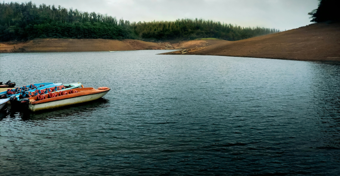 South India Hill Stations Tour